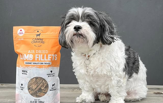 Join the Canine Cravers Family